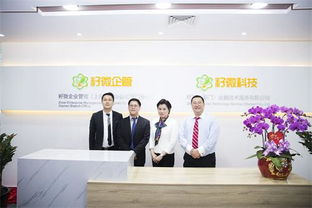 籽微企管厦门分公司成立，以专业网站建设服务助力福建中小微企业成长