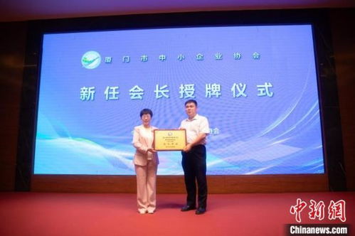 精准画像助力，厦门中小企业借力网站建设驶入发展快车道